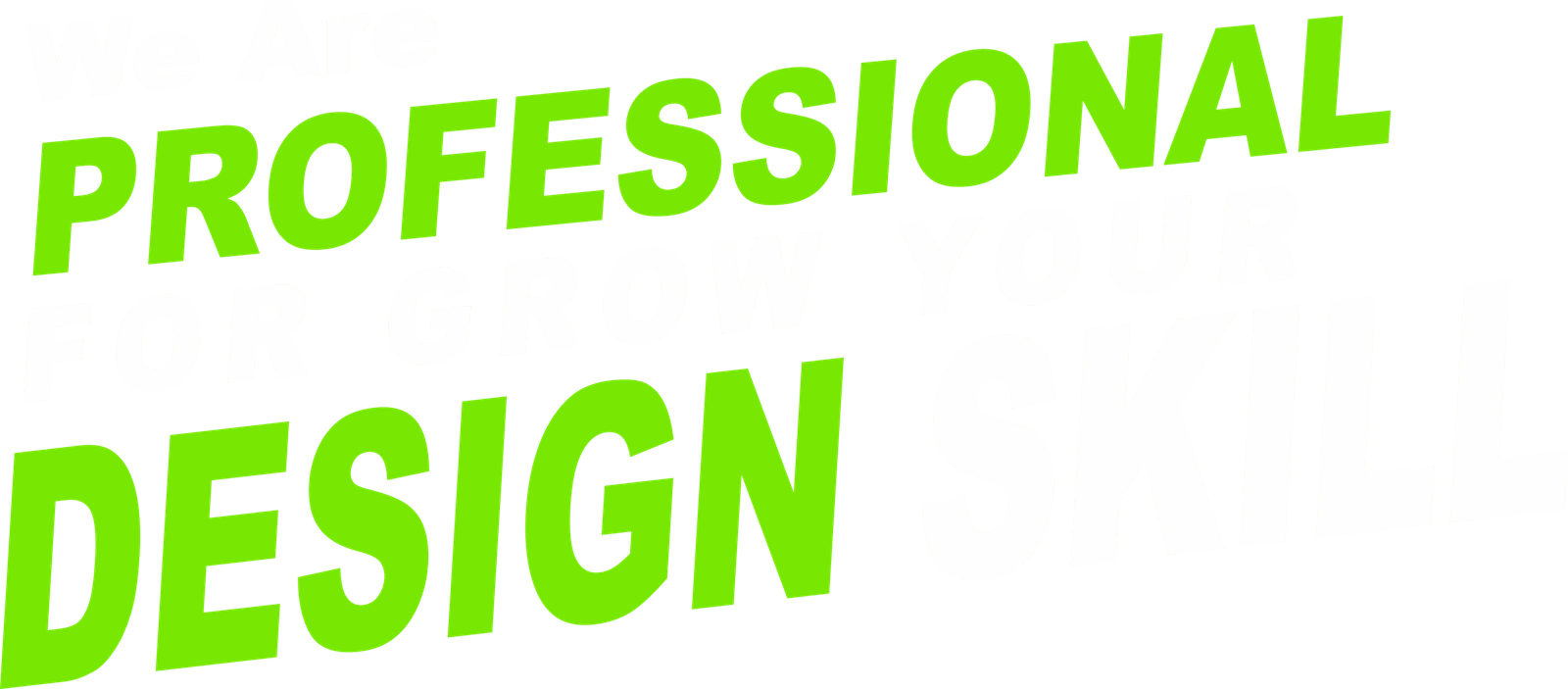 We Are Professional Scaled